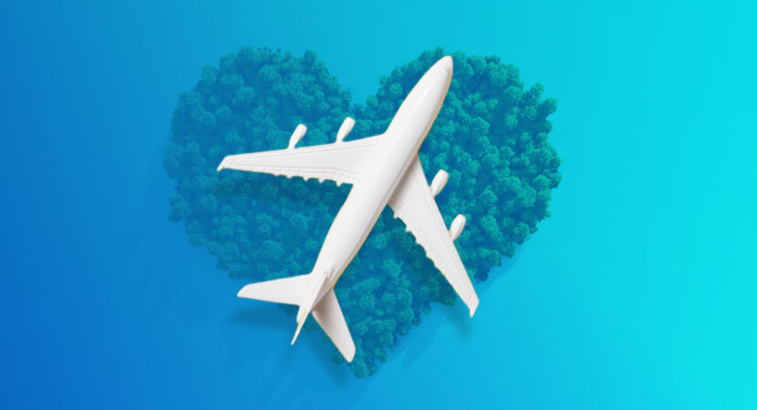 How airline standards help bring sustainability to travelers and airlines 